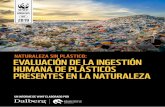 natUraleza sin plástico: evalUación de la ingestión hUmana de … · 2019-06-12 · 6 Naturaleza sin Plástico: Evaluación de la ingestión humana de plásticos presentes en la