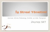 İş Stresi Yönetimi · 2012-07-19 · İş Yaşamında Stres İş ortamı strese her zaman elverişlidir. Stres düzeyi kişiden kişye bireysel farklılıklar gösterebilir. Günümüz