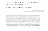 Il Fondo Sociale Europeo come strumento per la valorizzazione del … · 2016-06-16 · il fondo sociale europeo 27 Il contesto in cui opera il Fondo Sociale Europeo è quello rappresentato