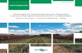 Desempenho socioambiental da Integração Lavoura-Pecuária ...€¦ · Integration Crop Livestock Forestry Systems (ICLFS) to different Brazilian agriculture regions in the past