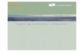 Fuglar og vindmyllur við Búrfell - Landsvirkjun › Media › 91010010-4-GR-0201...Fuglar og vindmyllur við Búrfell Mynd 1. Athugunarsvæði fyrir vindlund. Útsýnisstaðir fyrir