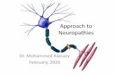 Approach to Neuropathiesksumsc.com/download_center/3rd/Females/2nd Semester...athy. Most patients with ulnar neuropathy should undergo testing to confirm the pres-ence of ulnar neuropathy,