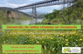 Desarrollo de redes ciclables en Andalucíabusiness.turismodeportugal.pt/SiteCollectionDocuments/portuguese... · Redacción de proyectos: región, provincias y municipios Arrendamiento