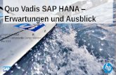 Quo Vadis SAP HANA Erwartungen und Ausblick · 2013-06-14 · SAP HANA Innovation Overview Side-by-side scenarios Integrated scenario ... Simple business intelligence system landscape