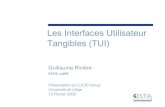 Les Interfaces Utilisateur Tangibles (TUI) · Les Interfaces Utilisateur Tangibles (TUI) Présentationau LUCID Group Universitéde Liège 12 Février2008 Guillaume Rivière ... on