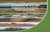 Os hábitats de Interese Comunitario en Galicia. Fichas ... · 6 Os Hábitats de Interese Comunitario de Galicia 1 Hábitats costeiros e vexetación h alofítica 1150* Lagoas costeiras