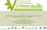 Presentación de PowerPoint - CVC · Registro para el Área Metropolitana Valle de Aburrá 2013 Proyección DANE 5.3 m2/habitante NÚMERO DE ÁRBOLES POR HABITANTE Recomendación