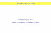 Endocrine system - Zhejiang Universitym-learning.zju.edu.cn/G2S/eWebEditor/uploadfile/... · endocrine organs as well as diffuse endocrine cells. •Distinguish the different types