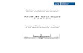 Modulkatalog Mathematik englisch deutsch · Algebraic methods I 11 ... Geodesy and Geoinformatics, Informatics, Philosophy, Physics and Econommics. Other subjects are possible upon