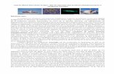 Cycle du silicium dans l'Océan Arctique - Rôle des diatomées dans …queguiner/2016_Ph.D... · 2016-04-21 · Cycle du silicium dans l'Océan Arctique - Rôle des diatomées dans