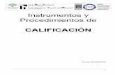 Valle-Niza (Málaga) Instrumentos y Procedimientos de ... · y de su actitud y madurez (contribuyendo con los idénticos porcentajes de ponderación especificados). La valoración