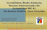 Contabilidad, Medio Ambiente, Normas Internacionales De ... · Contabilidad, Medio Ambiente, Normas Internacionales De Contabilidad NIC 41, Un Somero Análisis, Caso Colombia Luis