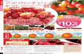 CHERRY TO JAPAN アメリカンチェリー チェリー …Cherry delivery and quality depends greatly on weather conditions. Delivery schedule can change at any time without notice.