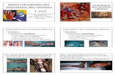 LES AMPUTATIONS D'ORTEILSancien.cofemer.fr/UserFiles/File/1 AP1ChiruAmp(1).pdf• Stabilisation de la cheville par arthrodèse tibio- astragalo-calcanéenne L’AMPUTATION DE CHOPART