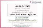 โรคสครับไทฟัสirem.ddc.moph.go.th/uploads/tiny/news/research/Cost_Evaluation... · Scrub Typhus Cases Reported in Thailand 14 (2550_2007 –2560_2017) 4359