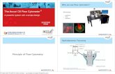 Principle of Flow Cytometry · Accuri Innovations in Flow Cytometry • Innovations in all the major components of a flow cytometer o Fluidics: allows direct-volume measurement o
