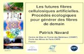 Les futures fibres cellulosiques artificielles. Procédés ...asso-acit.fr/wp-content/uploads/2011/12/Patrick-Navard.pdf · cellulosiques artificielles. Procédés écologiques pour