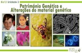 Bio12 Unidade 2 Património Genético e Alterações do ...jcmorais.com/documentos/12Bio_unidade2B.pdf · Alterações do material genético Engenharia Genética Fundamentos de OGM