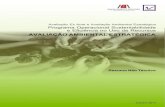 Avaliação Ex Ante e Avaliação Ambiental Estratégica · A Avaliação Ambiental Estratégica (AAE) é um instrumento que permite analisar de forma sistemática os efeitos ambientais