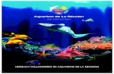 HERZLICH WILLKOMMEN IM AQUARIUM DE LA REUNION · Aquarium de La Réunion Herzlich willkommen im Aquarium de la Réunion 2 ENIGE TECHNISCHE DATEN 7 Beckenanzahl: 16 Das Aquarium de