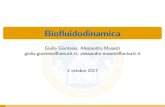 dmf.unicatt.itdmf.unicatt.it/~musesti/BFD/diapo20172018.pdf · Title: Biofluidodinamica Author: Giulia Giantesio, Alessandro Musesti giulia.giantesio@unicatt.it, alessandro.musesti@unicatt.it