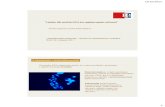 PowerPoint Presentationinfo.hazu.hr/upload/File/...Ugarkovic_prezentacija.pdf · 19.10.2017. 6 Raspodjela satelitske DNA u eukromatinu ljudskog genoma: 46 gena koji sadrže ili u