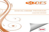 Sosyal Destek Programı (SODES) · 19. Proje yürütücüsüne ayni, nakdi veya teknik açıdan destek veren kamu kurum ve kuruluları, il özel idareleri, belediyeler, mahalli idare