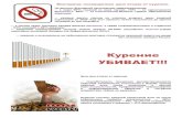 Курение УБИВАЕТ!!!ptk.68edu.ru/pdf/viktorina 2018.pdf · 2018-04-03 · Курение считают вредной привычкой 47% из числа опрошенных
