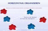 HORIZONTAAL ORGANISEREN - Herman Steijgerhermansteijger.nl/data/documents/Horizontaal-organiseren.pdf · MOMENTOPNAME Klant Product/ dienst Verkoop Ontwerp Productie Installatie INK