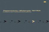 Терминалы Motorola TETRA · доступа, оборудование беспроводных линий связи и т.д. – позволяет компании реализовать