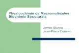 Physicochimie de Macromolécules Biochimie …...Jeffries Wyman Max Perutz Pourquoi les Hémoglobines? Structure d'hémoglobine de Perutz et al. Nature 1960 Structure de Myoglobine