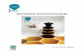 Dossier pédagogique Abeilles - Portail des blogs ...blogpeda.ac-poitiers.fr/biodiversite-village/files/2012/...Abeilles_BD.pdf · La vision des insectes est différente de la nôtre.