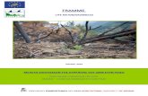 Αναφορά καταστροφών από τις πυρκαγιέςΤο FRAMME, "Μεθοδολογία Αποκατάστασης Πυρόπληκτων Μεσογειακών