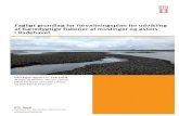 Fagligt grundlag for forvaltningsplan for udvikling af bæredygtige … · 2019-03-07 · Fagligt grundlag for forvaltningsplan for udvikling af bæredygtige fiskerier af muslinger