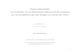 Puya raimondii - Rufford Foundation Thesis (Spanish).pdf · 4 INTRODUCCIÓN La Puya raimondii, conocida como “La Reina de los Andes” es una planta espectacular alta-Andina que