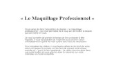 « Le Maquillage Professionnels2.e-monsite.com/2010/05/01/63448612dossier-maquillage-pdf.pdf · « Le Maquillage Professionnel » Vous venez de faire l’acquisition du dossier «