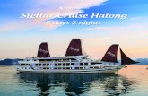 StellarCruise-3D2N-Brochure · STELLAR CRUISE HALONG VIETNAM halonghub DAY 01 : YOUR HOTEL - TUAN CHAU MARINA - HALONG BAY 12:00 -12h30 approx Afternoon Early Evening - Our guide