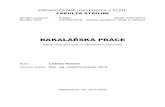 BAKALÁŘSKÁ PRÁCE · Studijní program: B 2301 Strojní inženýrství ... The bachelor thesis deals with construction of a rotary table. In the theoretical part types of rotary