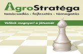 Velünk megnyeri a játszmát - AgroStratéga · marketingterv kidolgozásához hasonló idôtartam szükséges. A részletes tervek (pl. kommunikációs, PR- és promóciós terv)