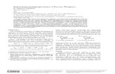 Radical-Induced Dephosphorylation of Fructose Phosphates ...zfn.mpdl.mpg.de/data/Reihe_B/36/ZNB-1981-36b-1331.pdf · Radical-Induced Dephosphorylation of Fructose Phosphates in Aqueous