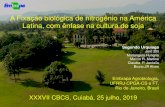 A Fixação biológica de nitrogênio na América Latina, com ênfase na cultura de soja · 2019-08-26 · Contribuição da FBN na nutrição nitrogenada na cultura de soja, sob
