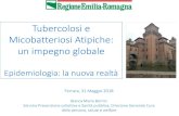 Tubercolosi e Micobatteriosi Atipiche: un impegno globale · Co-infezioneTB/HIV, EU/EEA, 2016 Not reporting ≥ 15% 10 to 14.9% 1 to 9.9% Proportion of co-infected cases < 1% * Among