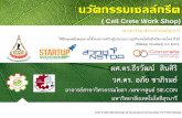 This is your presentation title - Infinity Concrete › wp-content › uploads › 2019 › ...รู้จักเซลล์กรีต Known Cell Crete กำเนิดเซลล์กรีต