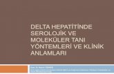 Delta Hepatitinde Serolojik ve Moleküler Tanı Yöntemleri ... · DELTA HEPATİTİNDE SEROLOJİK VE MOLEKÜLER TANI YÖNTEMLERİ VE KLİNİK ANLAMLARI Uzm.Dr. Nesrin TÜRKER İzmir