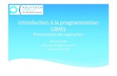 Introduction àla programmation GBM3alexandra.bac.perso.luminy.univ-amu.fr/resources/... · 2019-04-11 · Introduction Session 2015: « Importing cooperative pedagogy into postgraduate