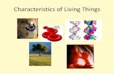 The Characteristics of Living Things of living things.pdf · Living Things…. •Materials (to use as energy) Example food • Consumers • living things that eat or consume, like
