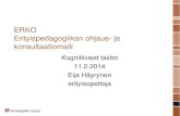 Kognitiiviset taidot 11.2.2014 Eija Häyrynen …...Kognitiiviset taidot (Lehtinen, Kuusinen & Vauras 2007, 75) •Empirismin perustalle rakentuneet oppimisen teoriat •Oppimista