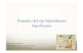 Estudio del eje hipotálamo hipofisario€¦ · Hipófisis anterior (Adenohipófisis): y No tiene conexiones neurales con el hipotálamo (riego a través del plexo venoso portal).