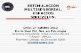 ESTIMULACIÓN MULTISENSORIAL. ESPACIOS SNOEZELEN. · 2016-10-31 · ESTIMULACIÓN MULTISENSORIAL. ESPACIOS SNOEZELEN. Chile, 24 octubre 2012 Maria José Cid. Dra. en Psicología Directora