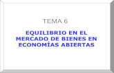 TEMA 6 - USALcampus.usal.es/~ehe/perote/documentos/Macro II Tema 6.pdf · TEMA 6 EQUILIBRIO EN EL MERCADO DE BIENES EN ECONOMÍAS ABIERTAS . 2 Equilibrio en el mercado de bienes en